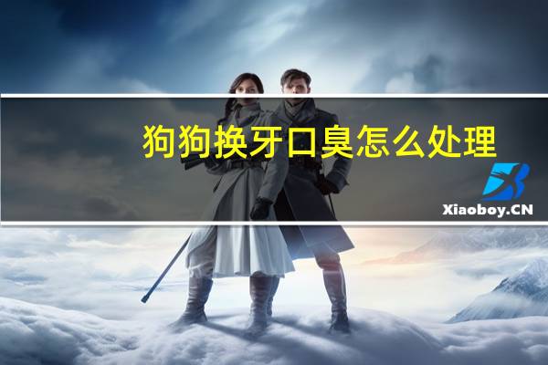 狗狗换牙口臭怎么处理
