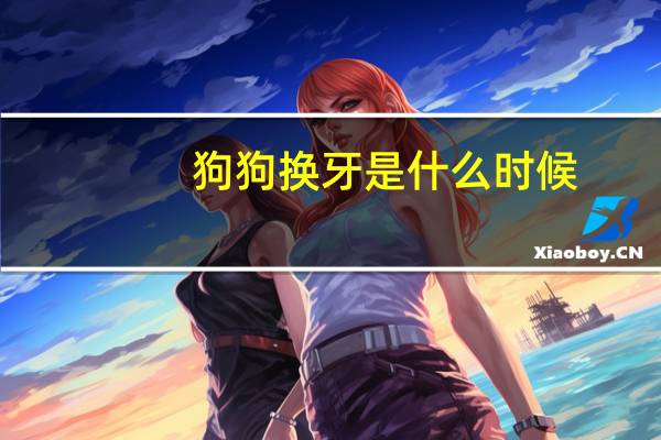 狗狗换牙是什么时候