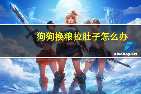 狗狗换粮拉肚子怎么办