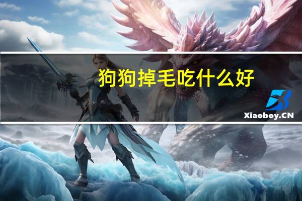 狗狗掉毛吃什么好