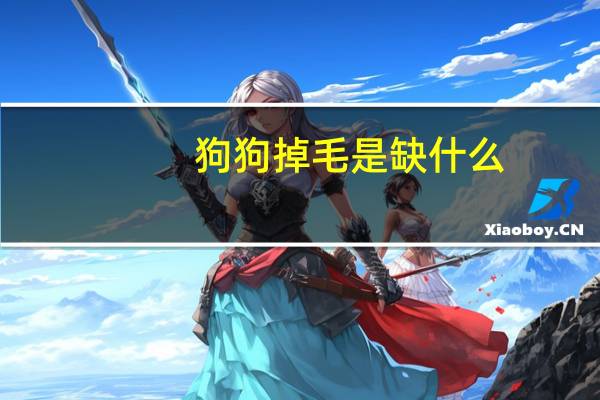 狗狗掉毛是缺什么