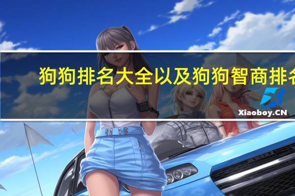 狗狗排名大全以及狗狗智商排名