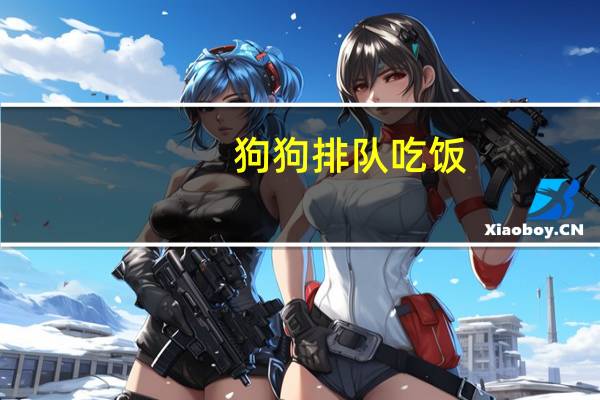 狗狗排队吃饭