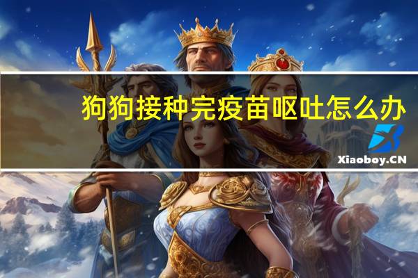 狗狗接种完疫苗呕吐怎么办