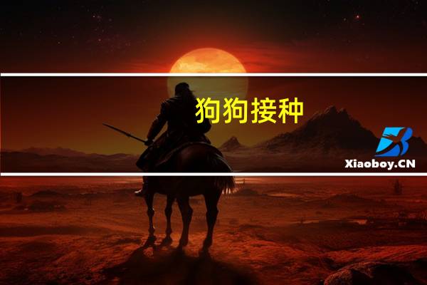 狗狗接种