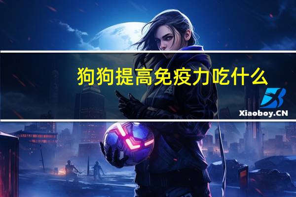 狗狗提高免疫力吃什么