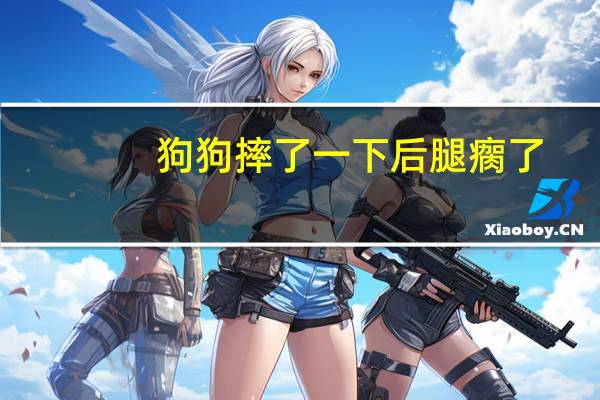 狗狗摔了一下后腿瘸了