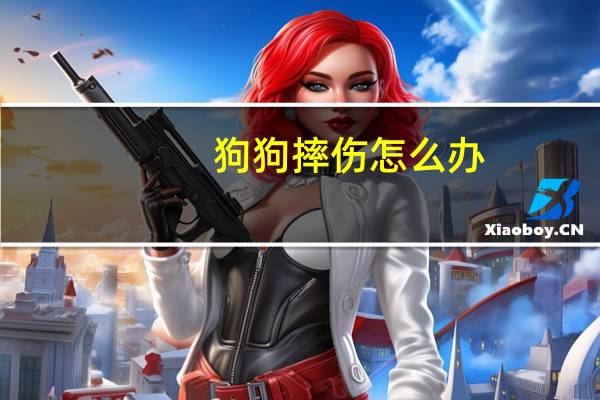 狗狗摔伤怎么办
