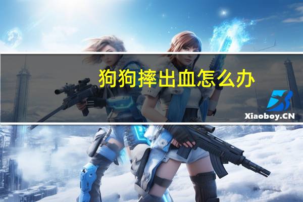 狗狗摔出血怎么办