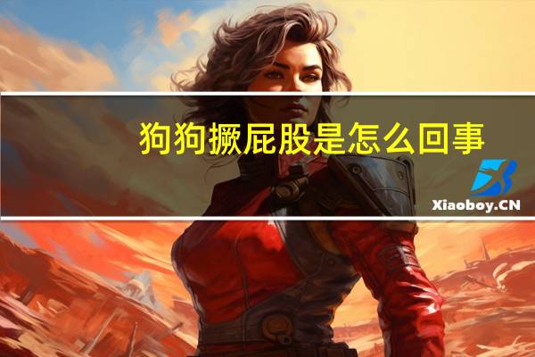 狗狗撅屁股是怎么回事