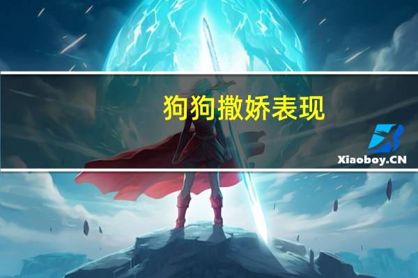 狗狗撒娇表现