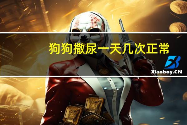 狗狗撒尿一天几次正常