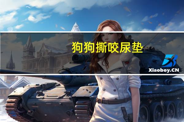 狗狗撕咬尿垫