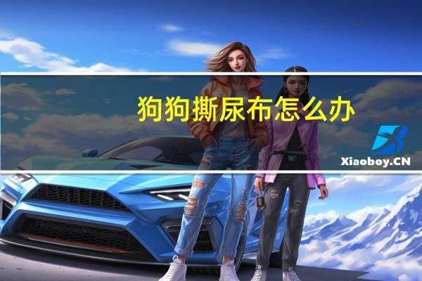 狗狗撕尿布怎么办