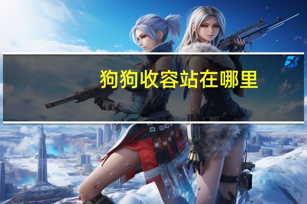 狗狗收容站在哪里