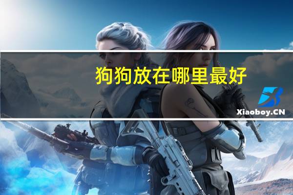 狗狗放在哪里最好