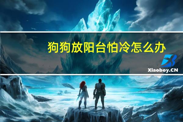 狗狗放阳台怕冷怎么办