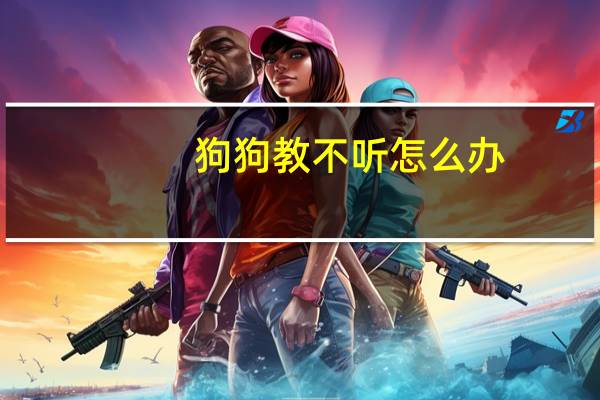 狗狗教不听怎么办