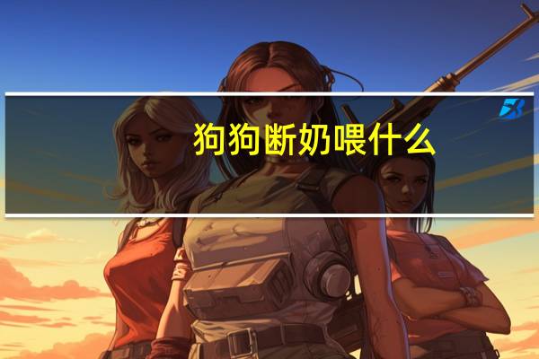 狗狗断奶喂什么