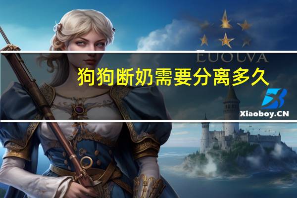 狗狗断奶需要分离多久