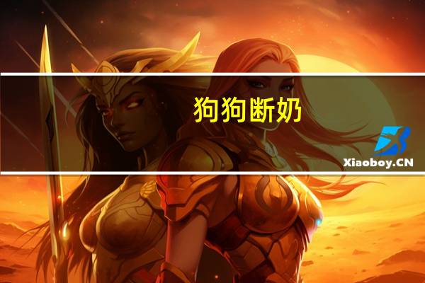 狗狗断奶
