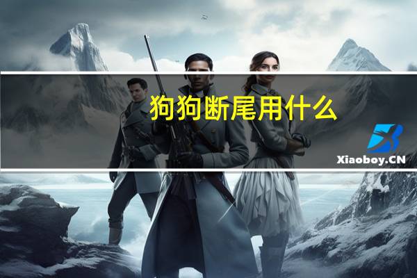 狗狗断尾用什么