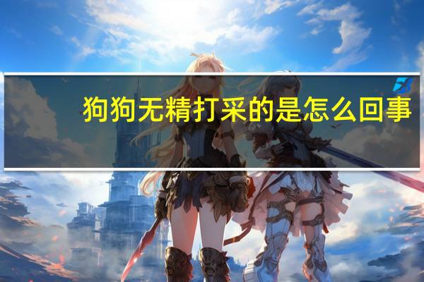 狗狗无精打采的是怎么回事