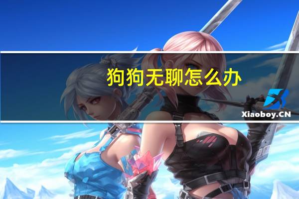 狗狗无聊怎么办