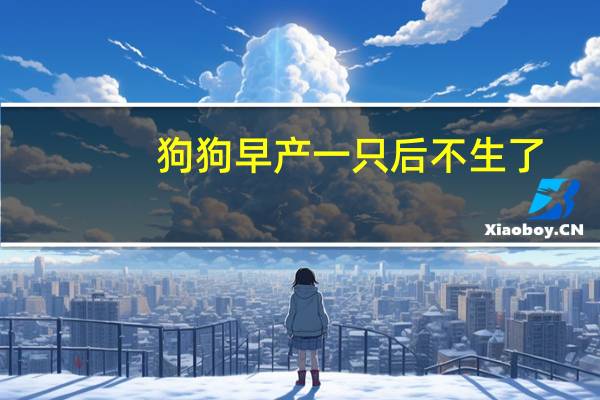 狗狗早产一只后不生了