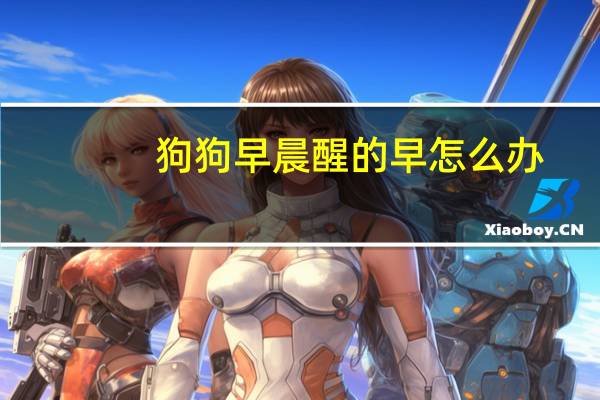 狗狗早晨醒的早怎么办