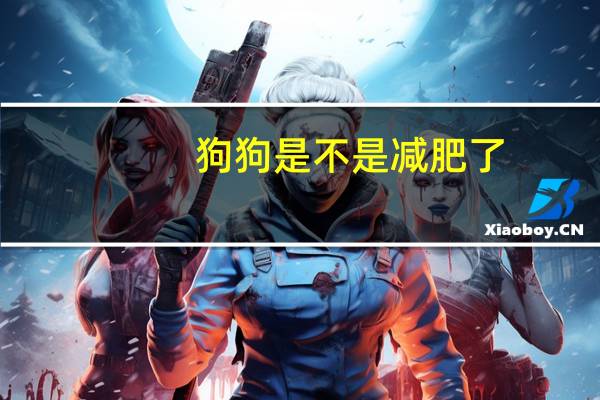 狗狗是不是减肥了