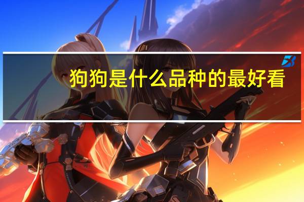 狗狗是什么品种的最好看