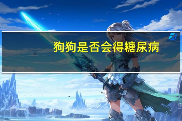 狗狗是否会得糖尿病