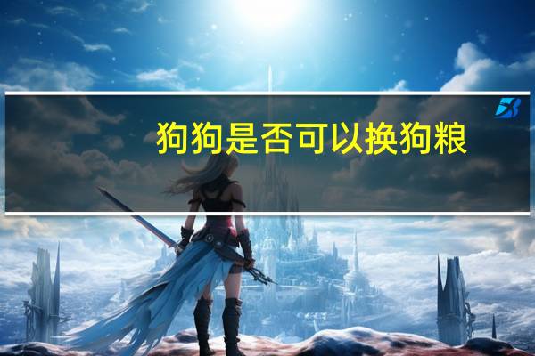 狗狗是否可以换狗粮