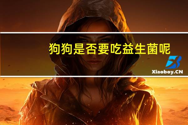 狗狗是否要吃益生菌呢