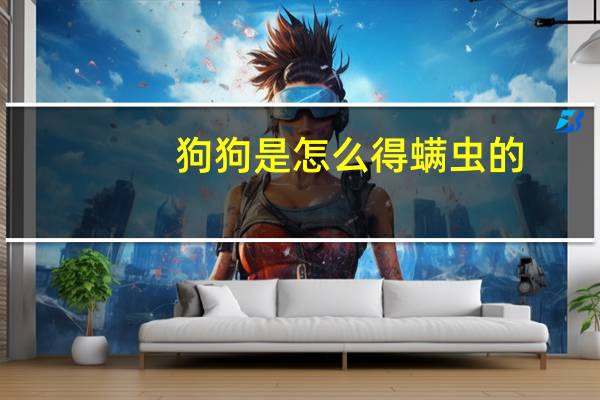 狗狗是怎么得螨虫的