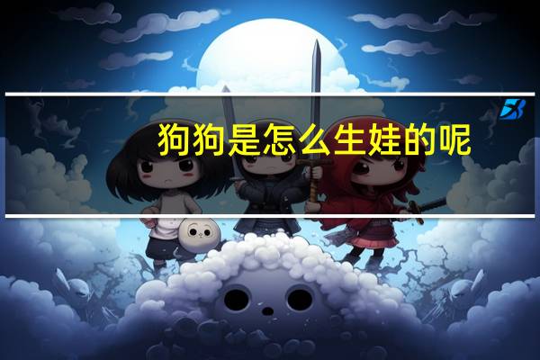 狗狗是怎么生娃的呢