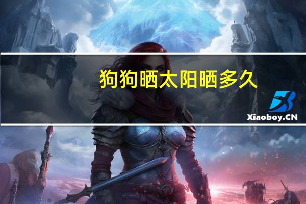 狗狗晒太阳晒多久