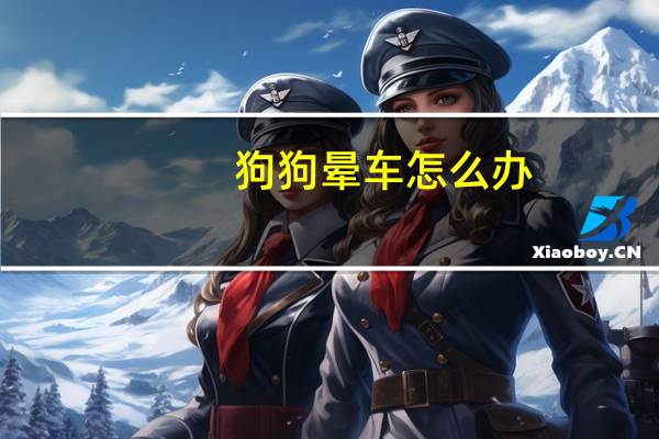 狗狗晕车怎么办