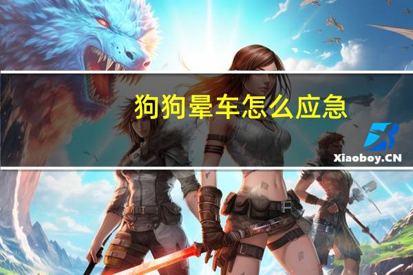 狗狗晕车怎么应急