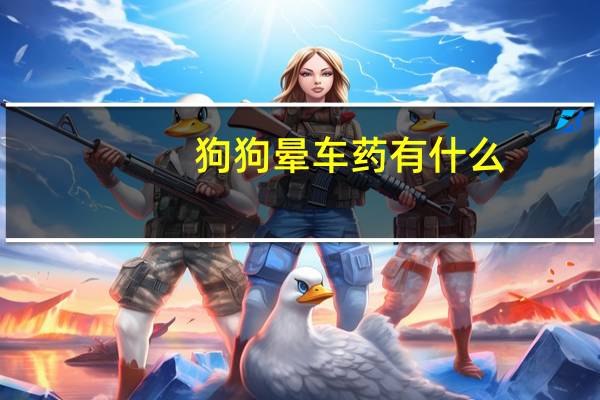 狗狗晕车药有什么