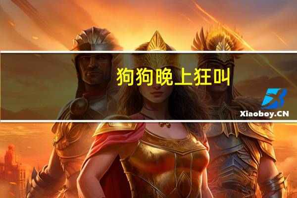 狗狗晚上狂叫