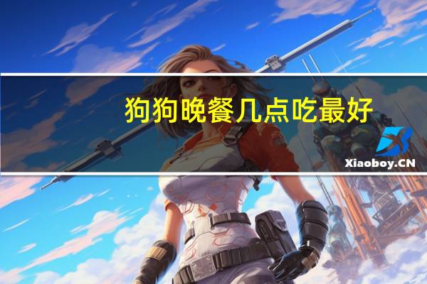 狗狗晚餐几点吃最好