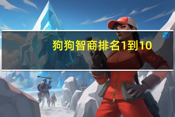狗狗智商排名1到10
