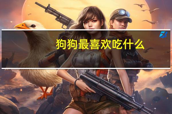 狗狗最喜欢吃什么