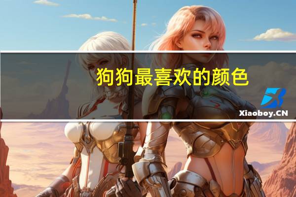 狗狗最喜欢的颜色