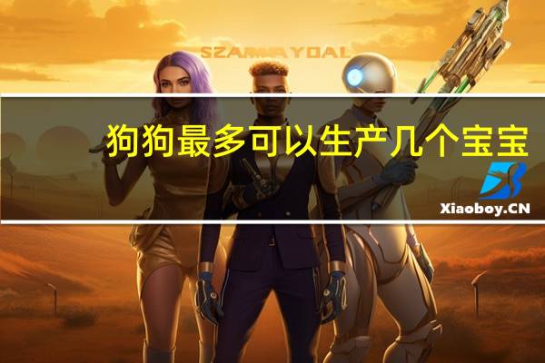 狗狗最多可以生产几个宝宝
