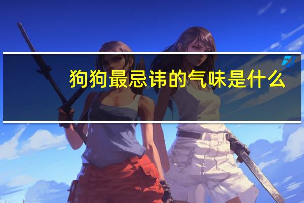 狗狗最忌讳的气味是什么