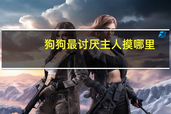 狗狗最讨厌主人摸哪里