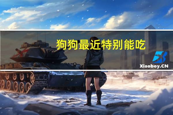 狗狗最近特别能吃